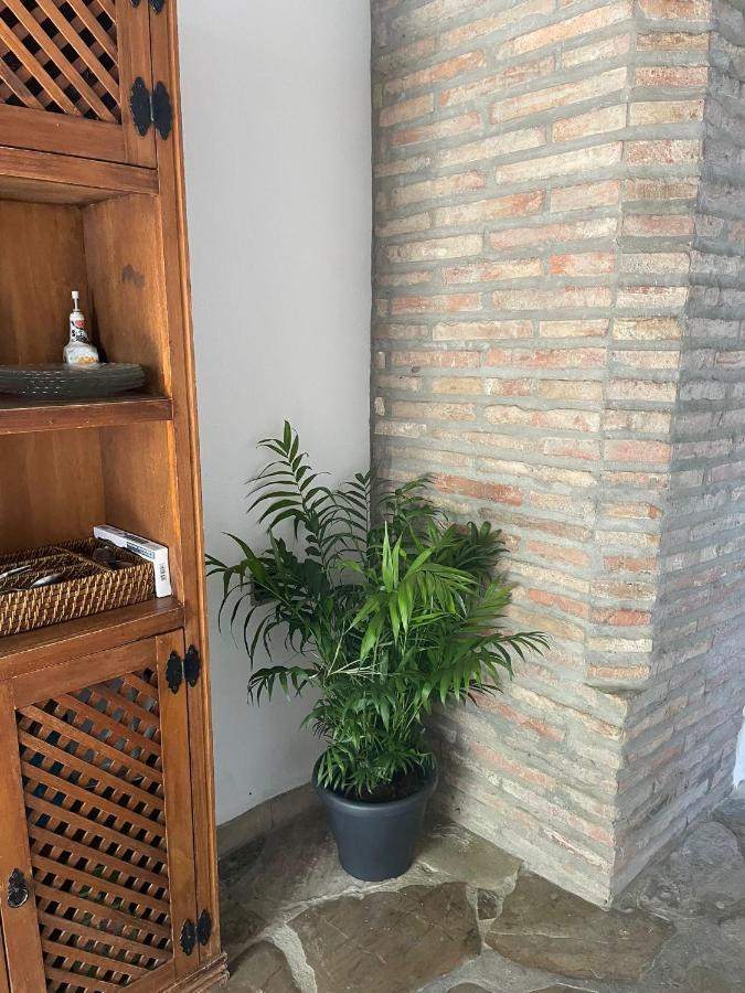 La Casa Vieja De Marchenilla Jimena De La Frontera Exterior foto